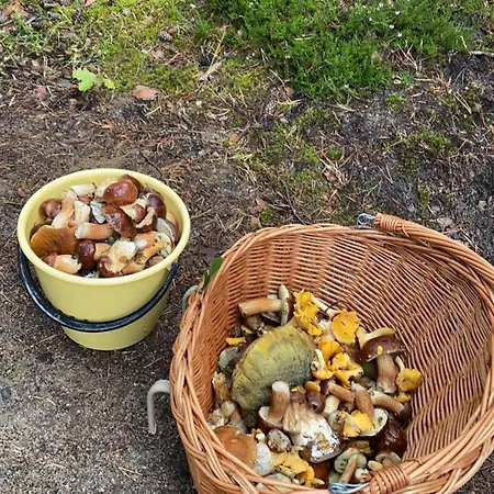 فيلة Dom Marzen Z Jacuzzi Pod Gwiazdami