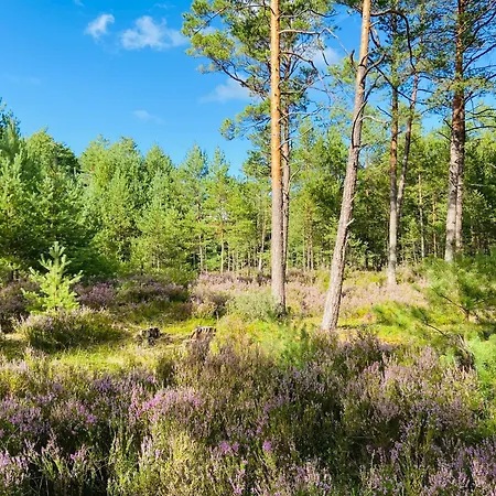 וילה Dom Marzen Z Jacuzzi Pod Gwiazdami