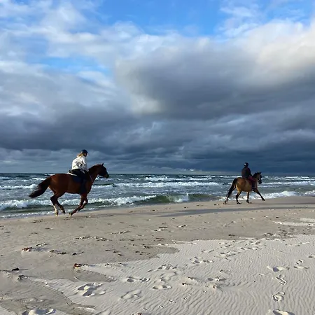 Dom Marzen Z Jacuzzi Pod Gwiazdami קופלינו