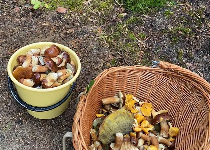 Villa Dom Marzen Z Jacuzzi Pod Gwiazdami