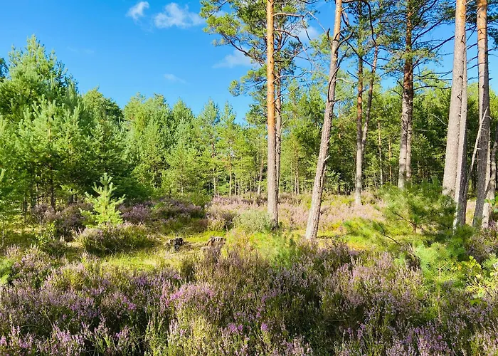 Villa Dom Marzen Z Jacuzzi Pod Gwiazdami
