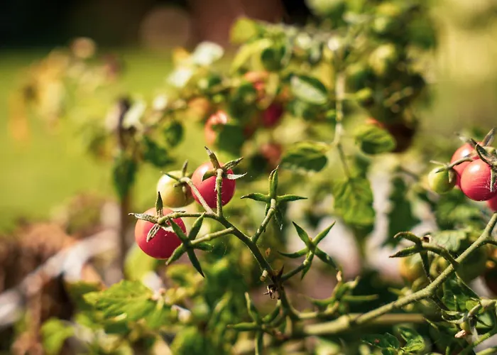 Villa Dom Marzen Z Jacuzzi Pod Gwiazdami *