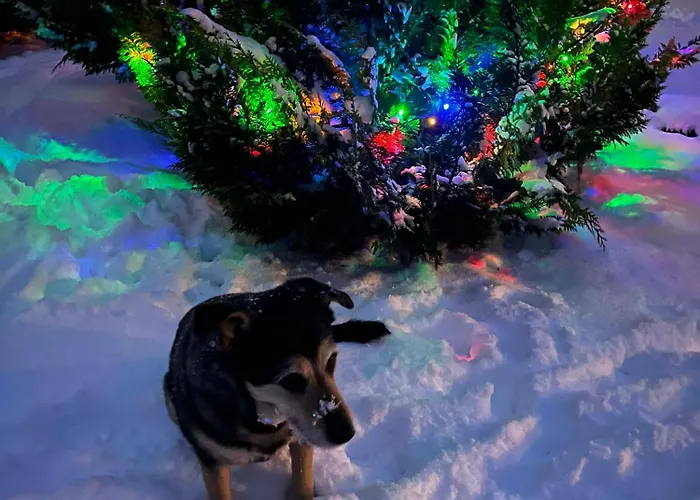 Dom Marzen Z Jacuzzi Pod Gwiazdami *